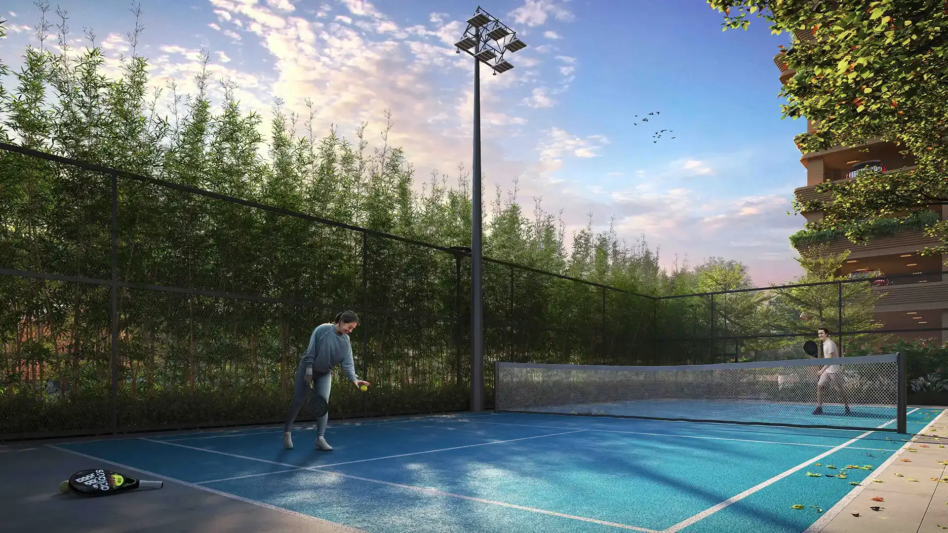 Pickleball Court